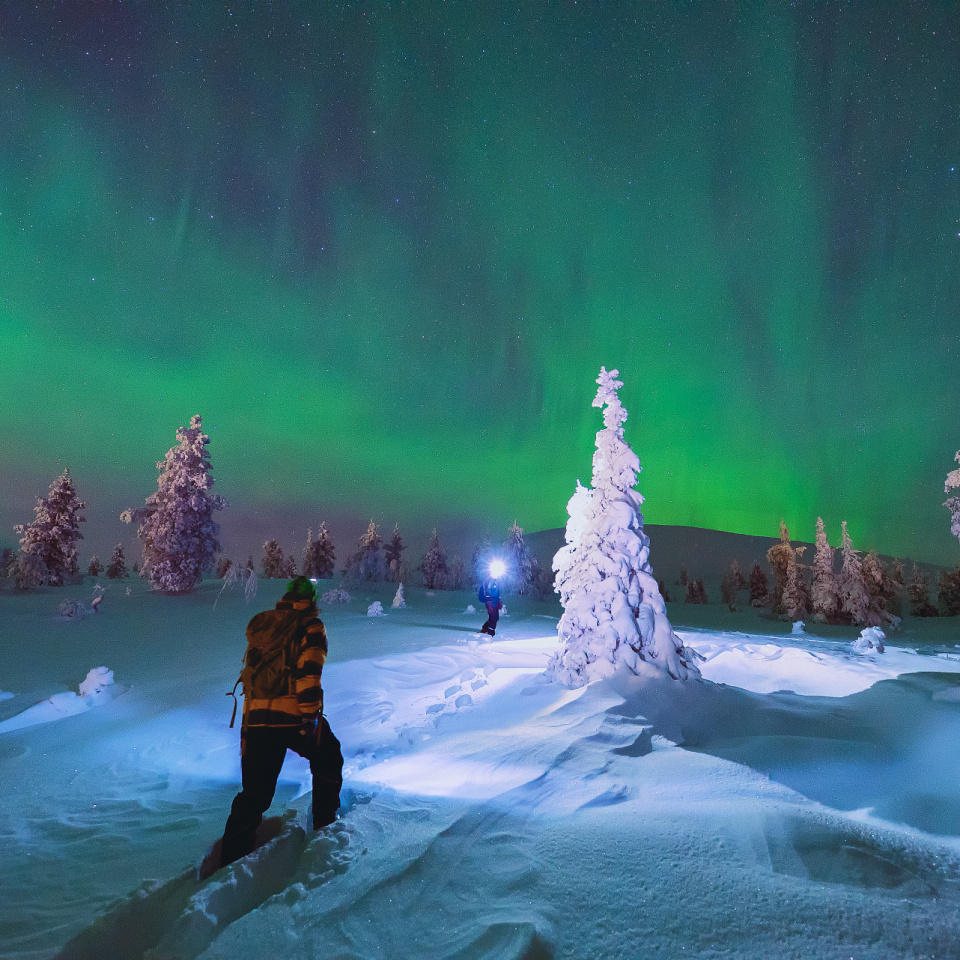 Schneeschuhwanderung unter dem Polarlicht